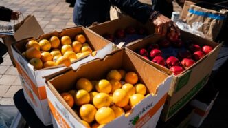 Biden food aid halt unlawful — foto ilustrativa