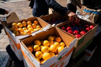 Biden food aid halt unlawful — foto ilustrativa