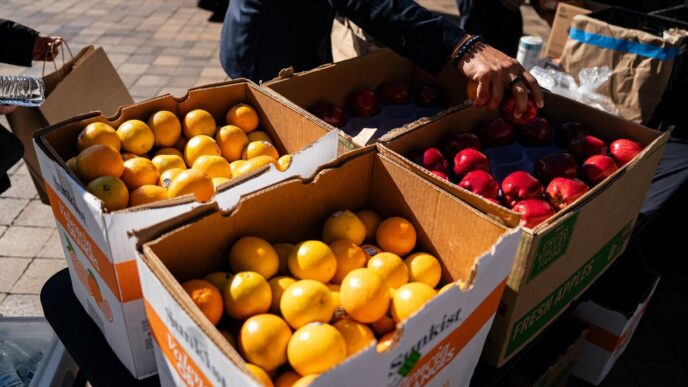 Biden food aid halt unlawful — foto ilustrativa