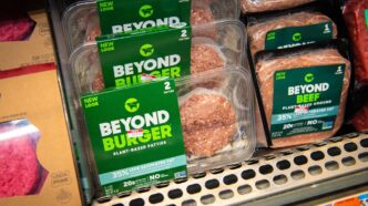 Beyond Meat ações — foto ilustrativa