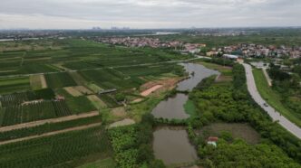 Trump Golf Resort Vietnã — foto ilustrativa