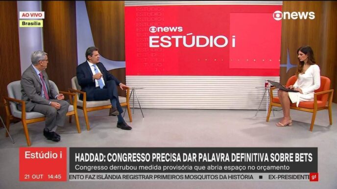 Gráfico ilustrando o crescimento do mercado de apostas no Brasil, consolidando o país como 5º maior do mundo.