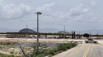 fluxo de jatinhos em Patos — foto ilustrativa