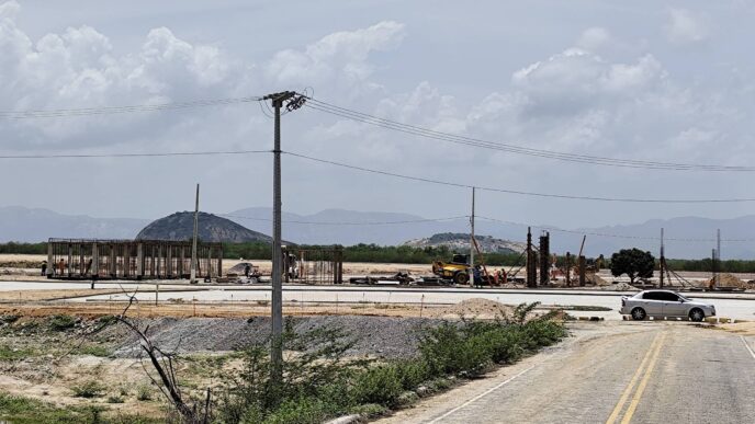 fluxo de jatinhos em Patos — foto ilustrativa