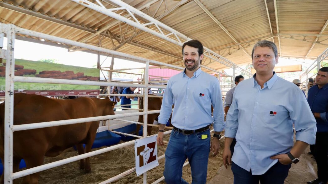 desvios na Agricultura gestão Tarcísio — foto ilustrativa