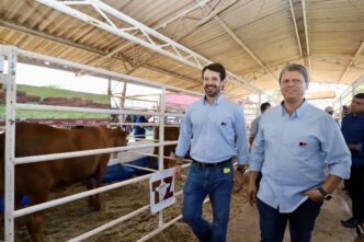 desvios na Agricultura gestão Tarcísio — foto ilustrativa