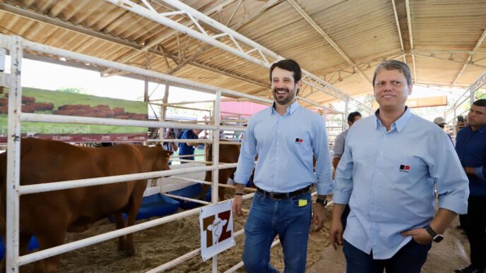 desvios na Agricultura gestão Tarcísio — foto ilustrativa