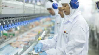Exportação de carne suína — foto ilustrativa