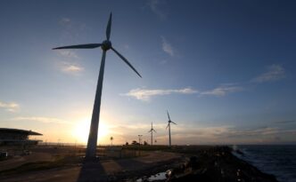 Eco Invest — foto ilustrativa
