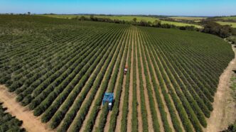 tarifa de 50% dos EUA — foto ilustrativa