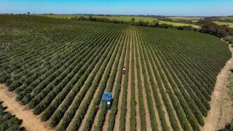 tarifa de 50% dos EUA — foto ilustrativa