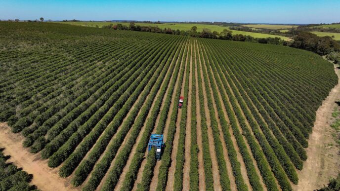 tarifa de 50% dos EUA — foto ilustrativa