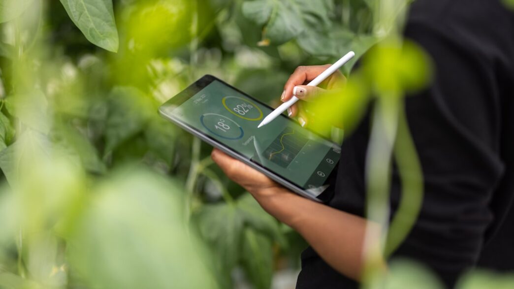 economia verde — foto ilustrativa