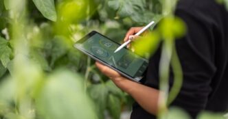 economia verde — foto ilustrativa