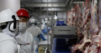 Exportação agro Brasil EUA setembro — foto ilustrativa