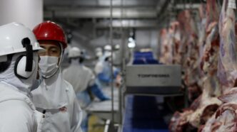 Exportação agro Brasil EUA setembro — foto ilustrativa