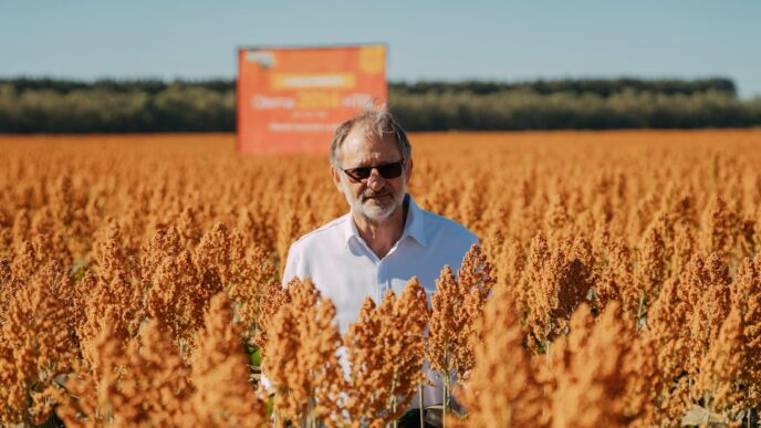 novas culturas agricultura brasileira — foto ilustrativa