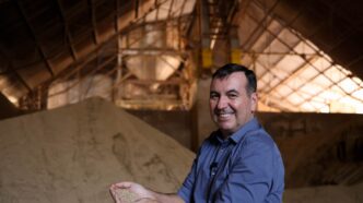 Ciência no Agronegócio Brasileiro — foto ilustrativa