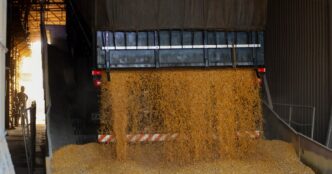 produtores agrícolas brasileiros — foto ilustrativa