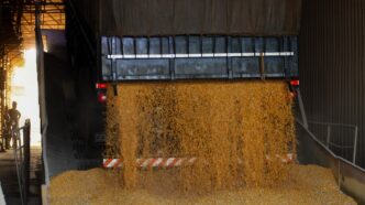 produtores agrícolas brasileiros — foto ilustrativa