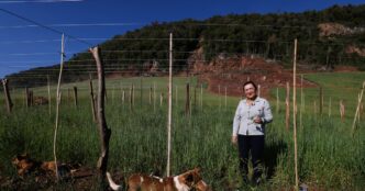 Produtores RGS superam perdas climáticas — foto ilustrativa