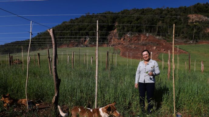 Produtores RGS superam perdas climáticas — foto ilustrativa