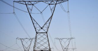 jabutis no setor elétrico — foto ilustrativa