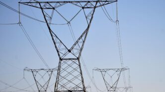 jabutis no setor elétrico — foto ilustrativa