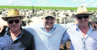 campeões de produtividade no campo — foto ilustrativa