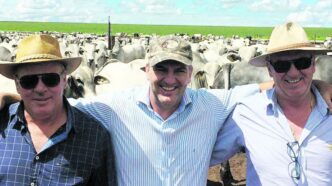 campeões de produtividade no campo — foto ilustrativa