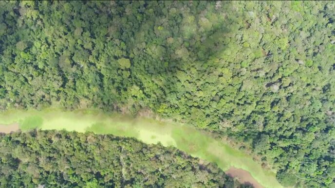 vetos licenciamento ambiental — foto ilustrativa