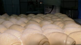 Empregos formais Brasil — foto ilustrativa