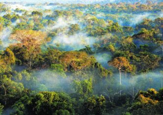 COP30 no Brasil — foto ilustrativa