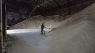 açúcar bruto — foto ilustrativa