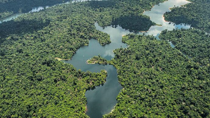 Fundo Clima BNDES — foto ilustrativa