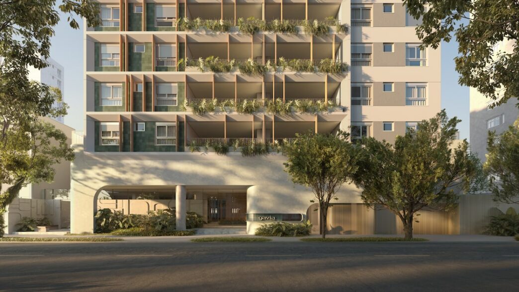 Gavia Moema — foto ilustrativa