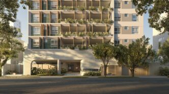 Gavia Moema — foto ilustrativa