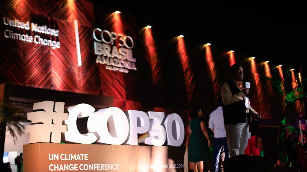 cobertura florestal — foto ilustrativa