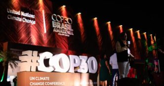 cobertura florestal — foto ilustrativa