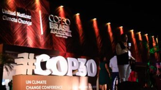 cobertura florestal — foto ilustrativa