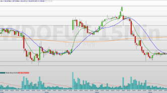 Minidólar WDOZ25 — foto ilustrativa