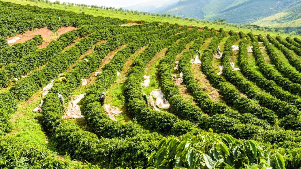 seguro rural — foto ilustrativa