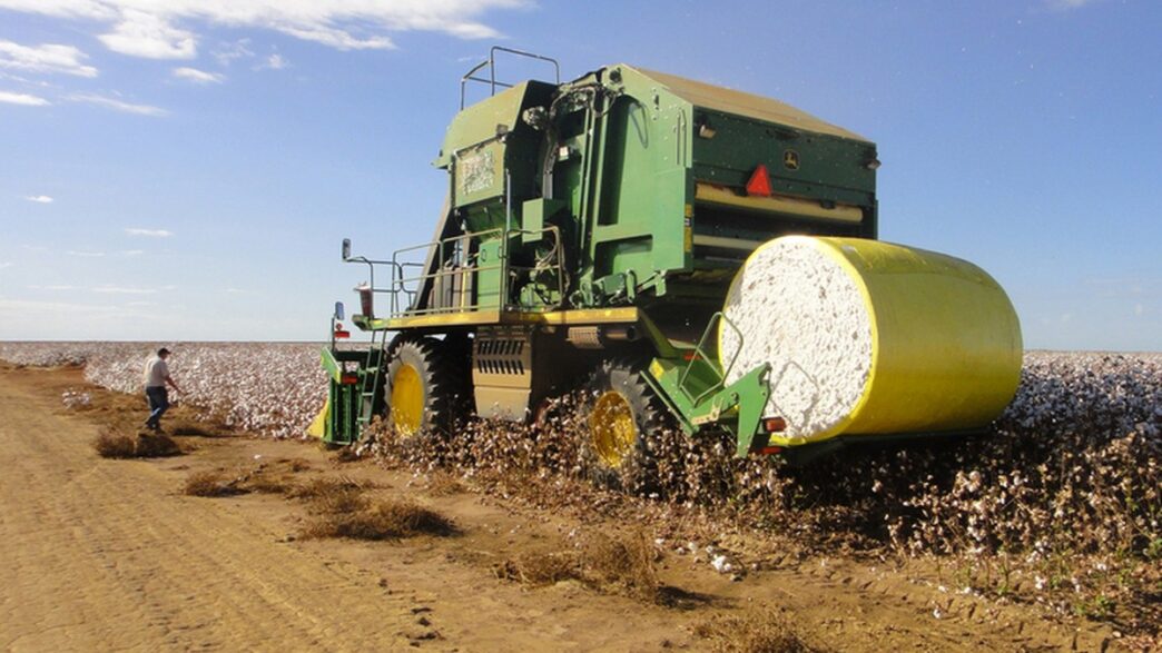 desapropriação de terras produtivas — foto ilustrativa