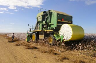 desapropriação de terras produtivas — foto ilustrativa
