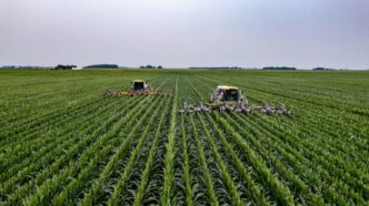 SLC Agrícola prejuízo acordo BTG — foto ilustrativa