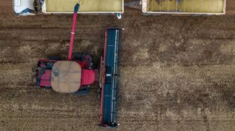 Plantação de grãos com aplicação de fertilizantes no Brasil.