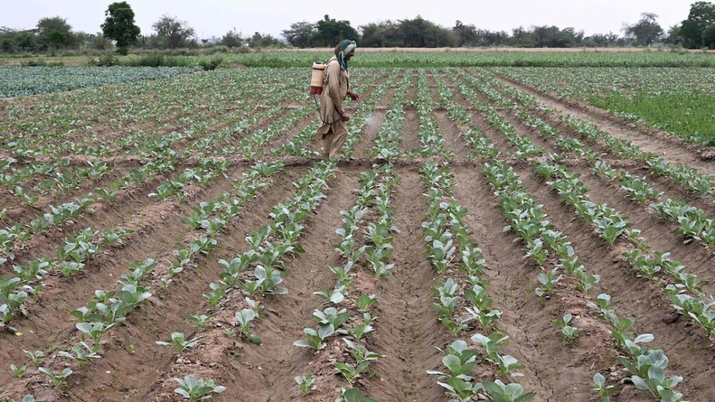 Gráfico demonstrando a variação de preços dos fertilizantes no mercado internacional.