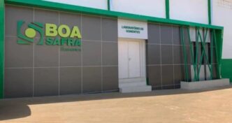 Colheita de soja em campo brasileiro.