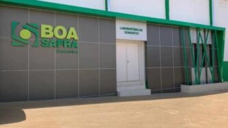 Colheita de soja em campo brasileiro.