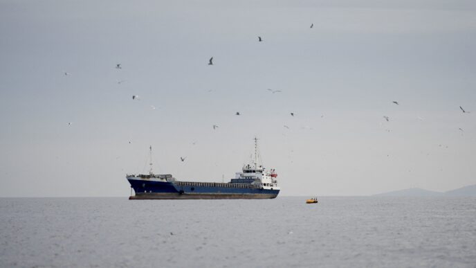 Navio de carga em operação marítima internacional.